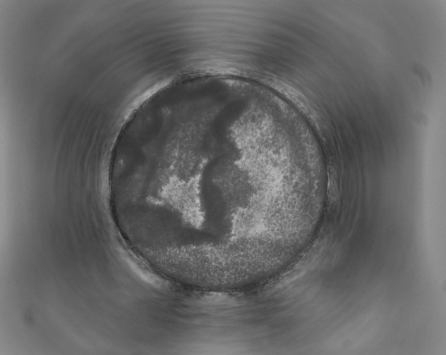 X0000110940390200907171612