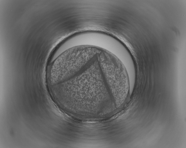 X0000110940391200907171612