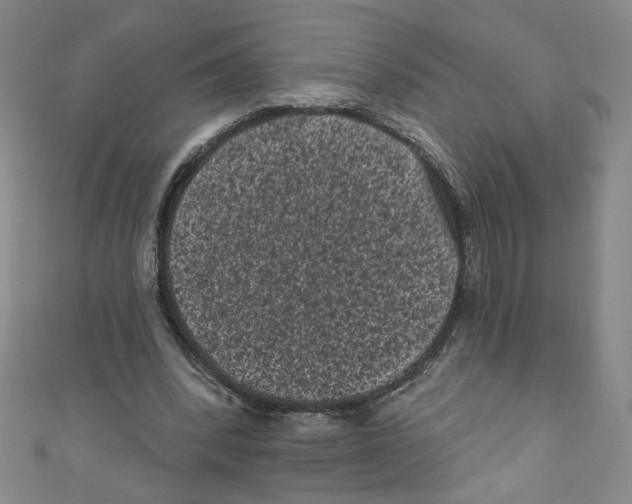 X0000110940392200907171612