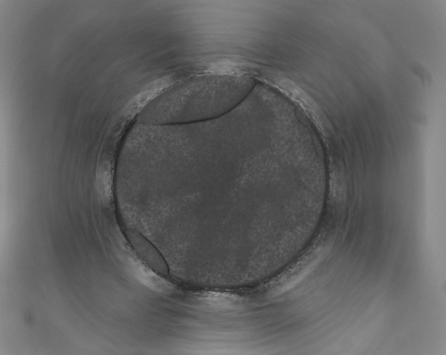 X0000110940393200907171612