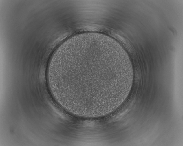 X0000110940394200907171612