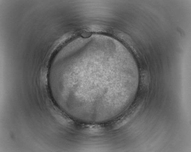 X0000110940395200907171612