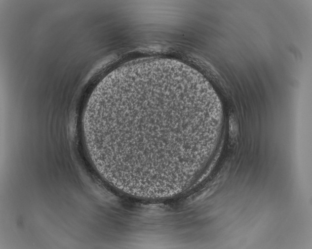 X0000110940396200907171612