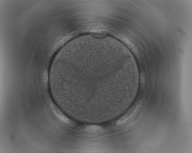 X0000110940397200907171612