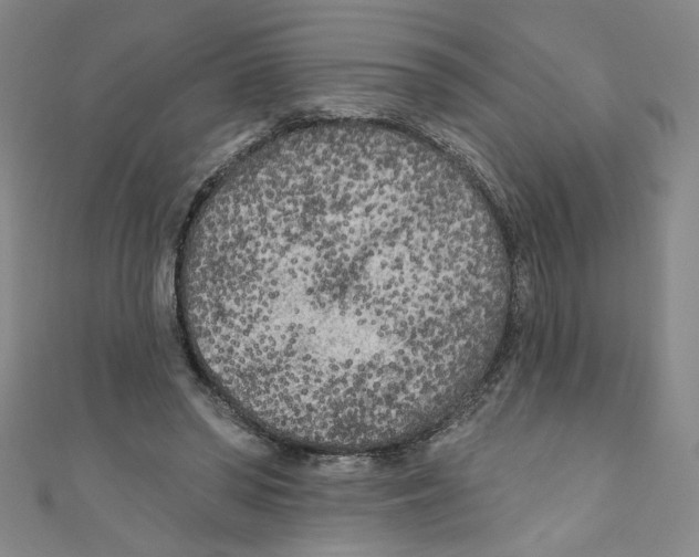 X0000110940398200907171612