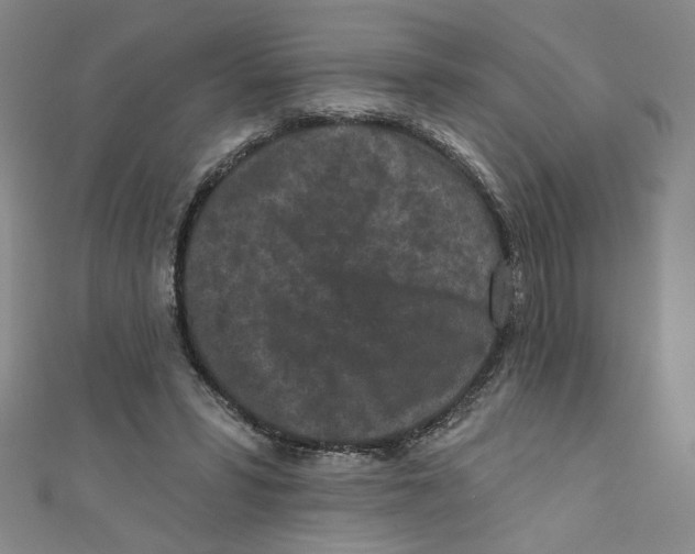 X0000110940399200907171612