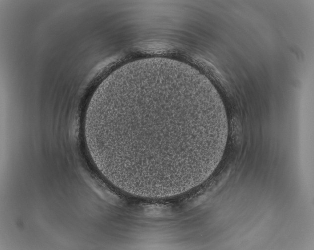 X0000110940400200907171612