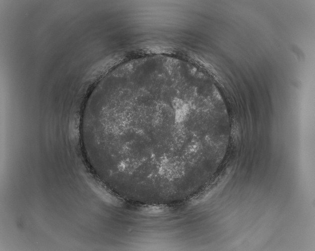 X0000110940402200907171612