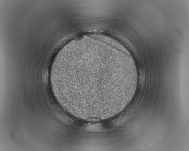 X0000110940403200907171612