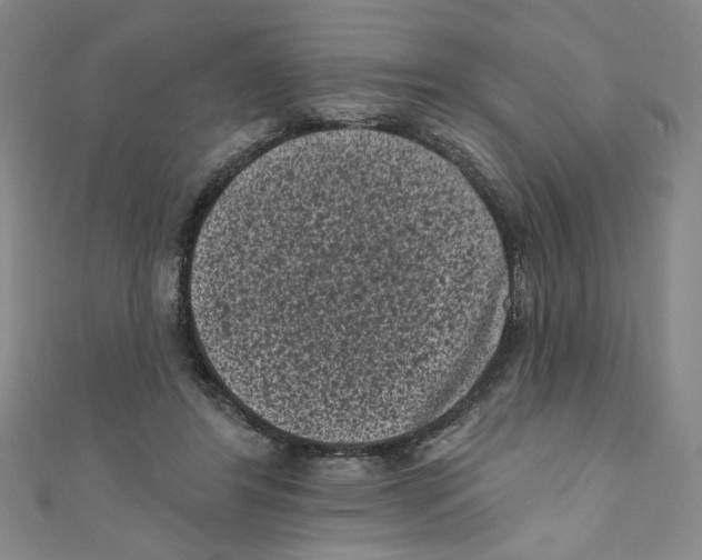 X0000110940404200907171612