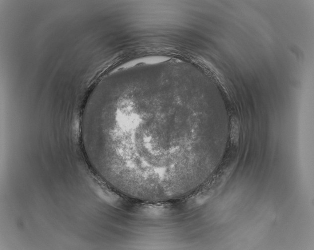 X0000110940405200907171612