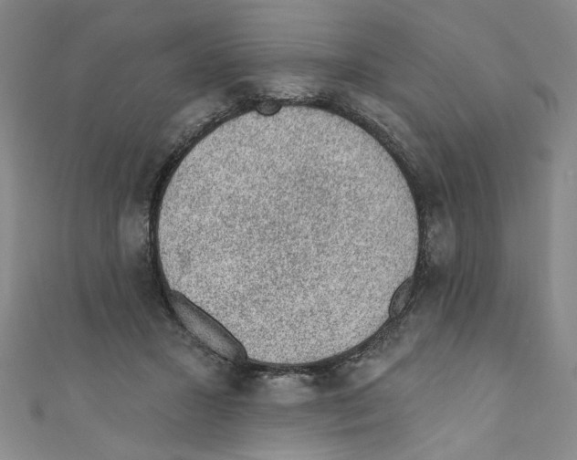 X0000110940407200907171612