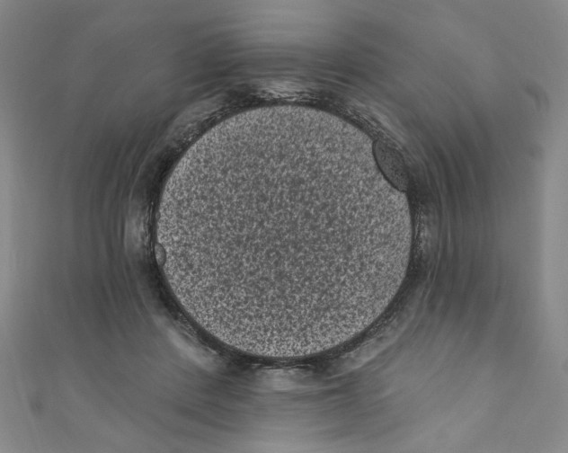 X0000110940408200907171612