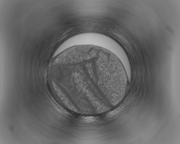 X0000110940409200907171612
