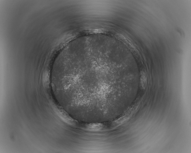 X0000110940410200907171612