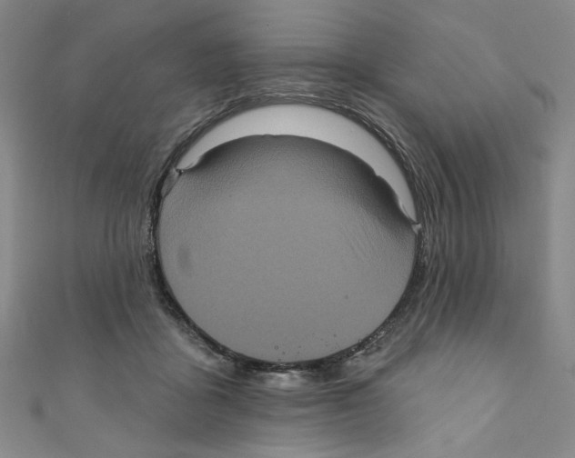 X0000110940411200907171612