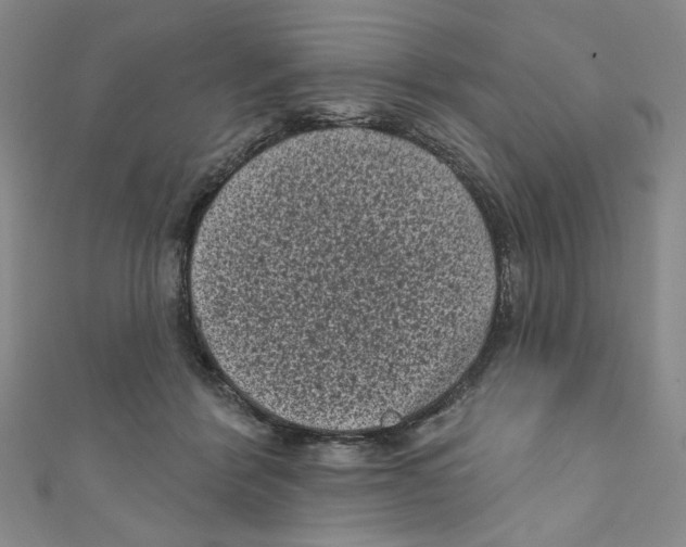 X0000110940412200907171612