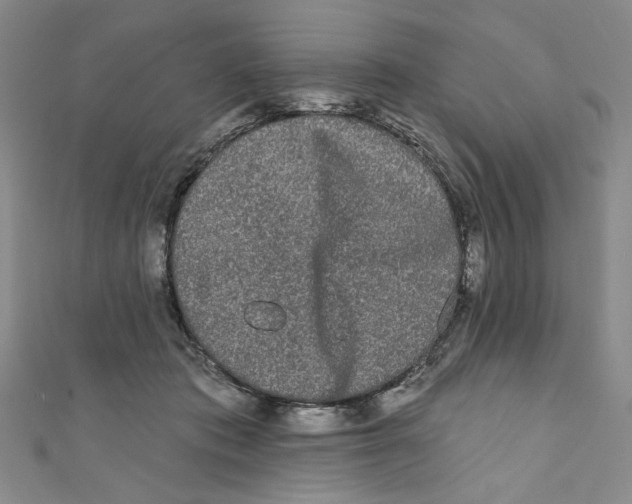 X0000110940413200907171612