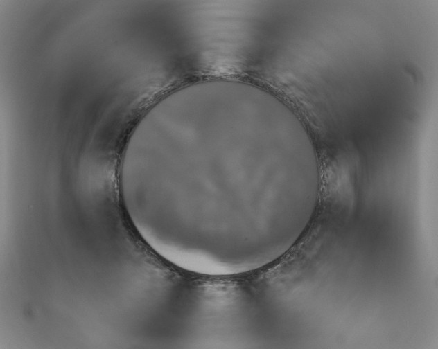 X0000110940415200907171612