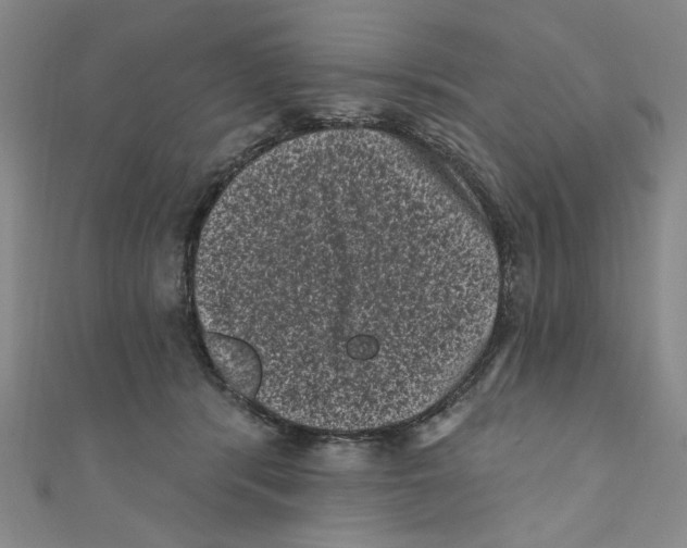 X0000110940416200907171612