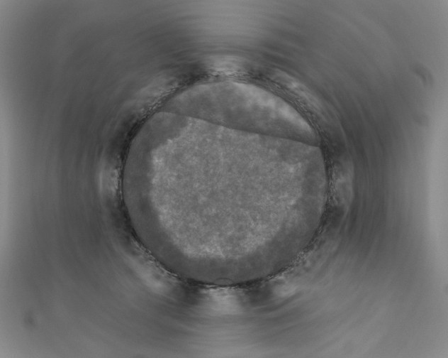 X0000110940417200907171612