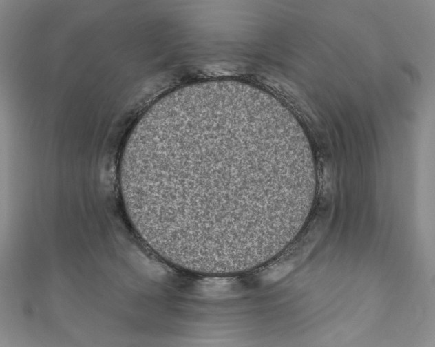 X0000110940418200907171612