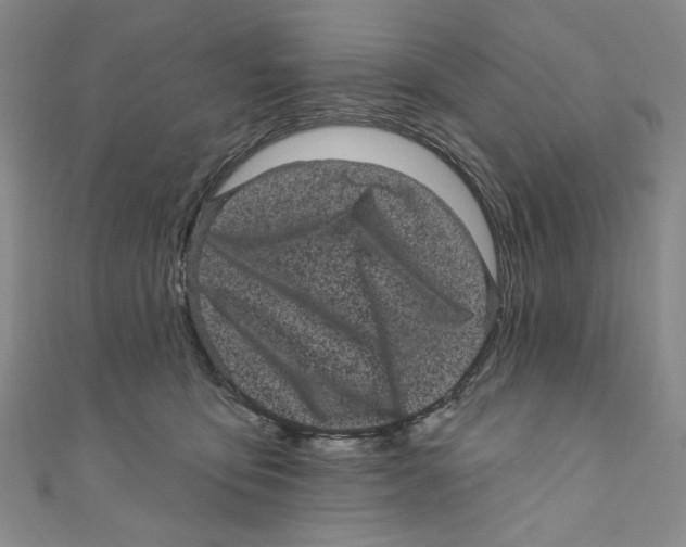 X0000110940419200907171612