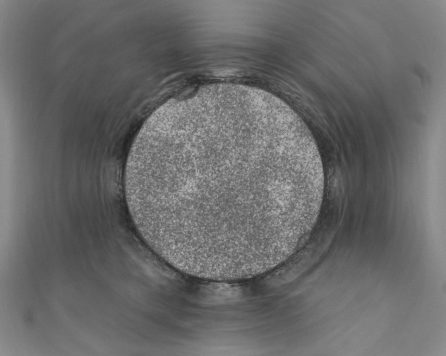 X0000110940421200907171612