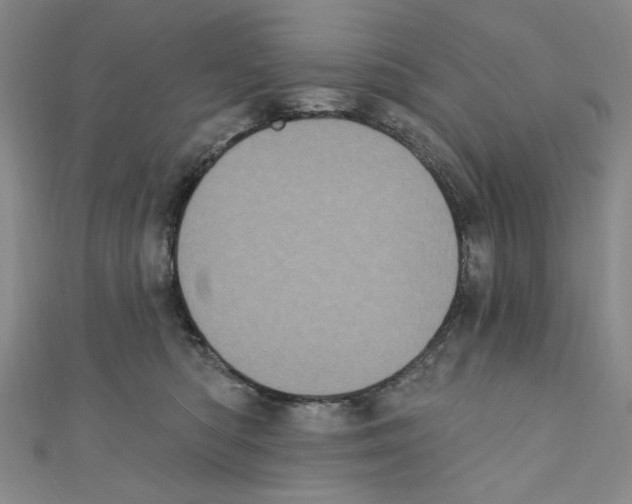 X0000110940422200907171612