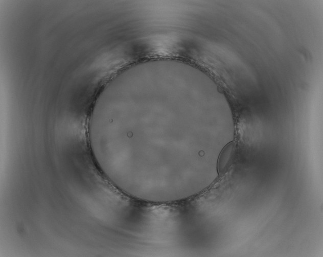 X0000110940423200907171612