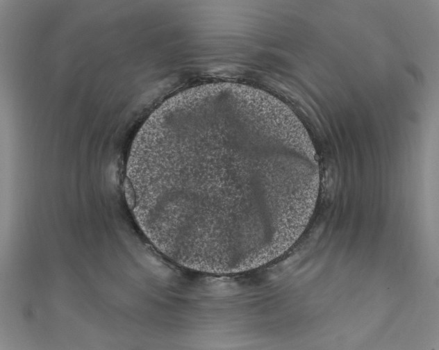 X0000110940424200907171612