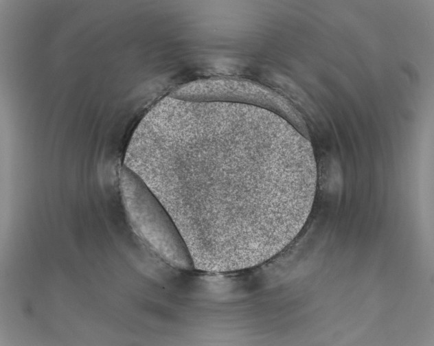X0000110940425200907171612