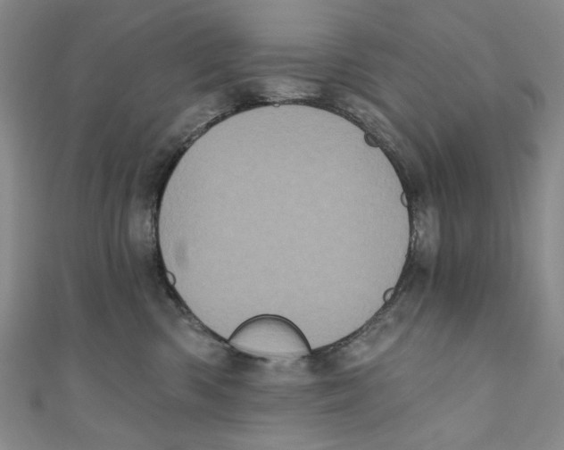 X0000110940426200907171612