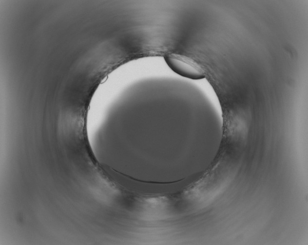 X0000110940427200907171612