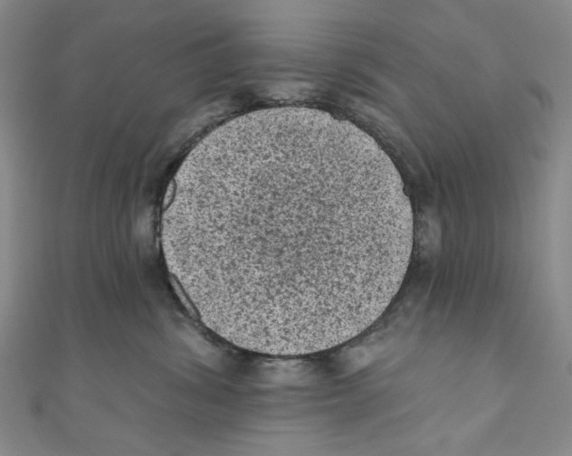 X0000110940428200907171612
