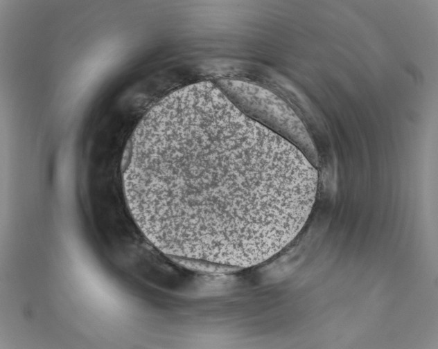 X0000110940429200907171612