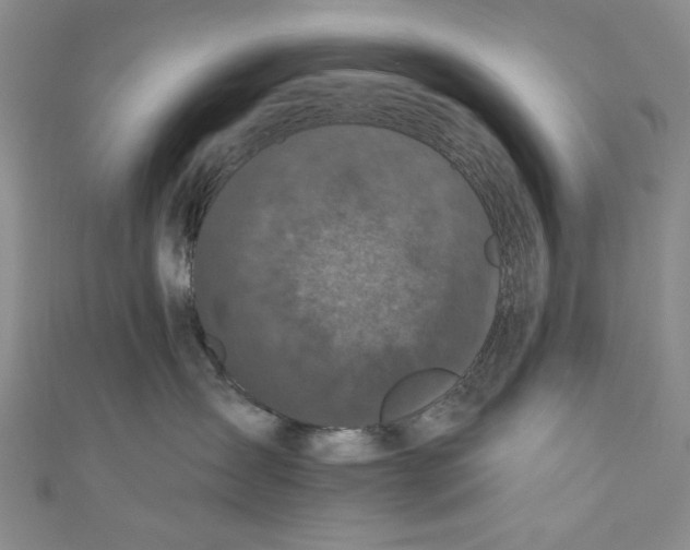 X0000110940431200907171612