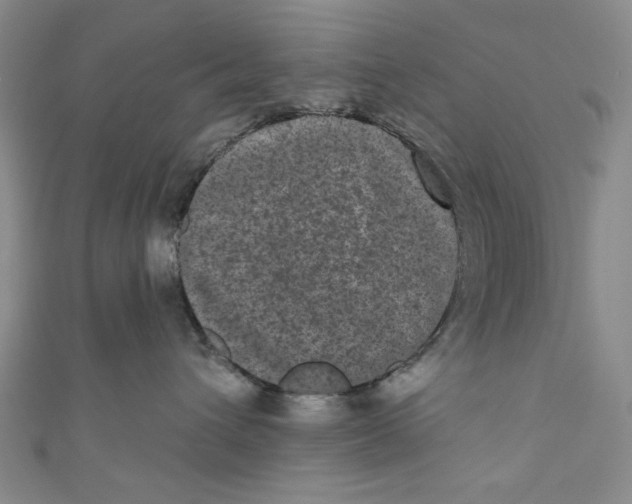 X0000110940432200907171612