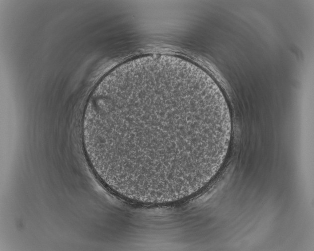 X0000110940433200907171611