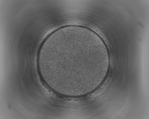 X0000110940434200907171611