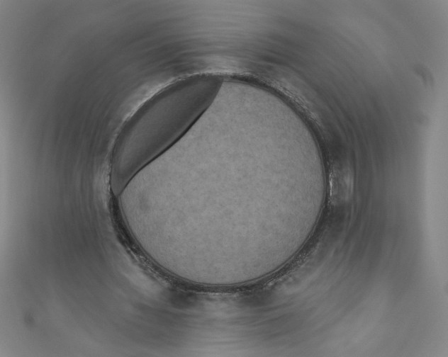 X0000110940436200907171611