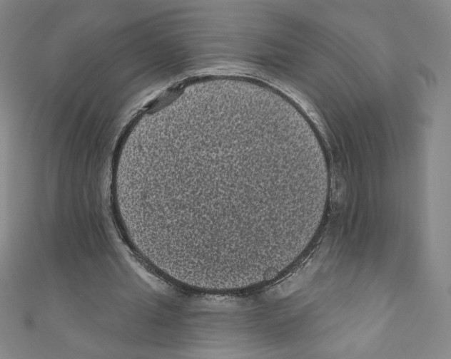 X0000110940437200907171611