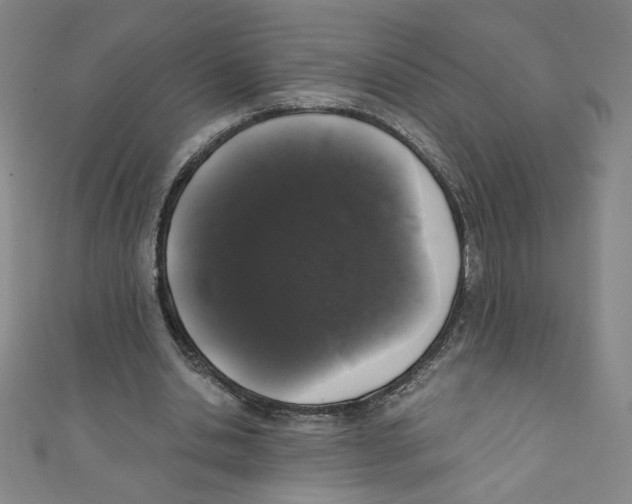 X0000110940438200907171611