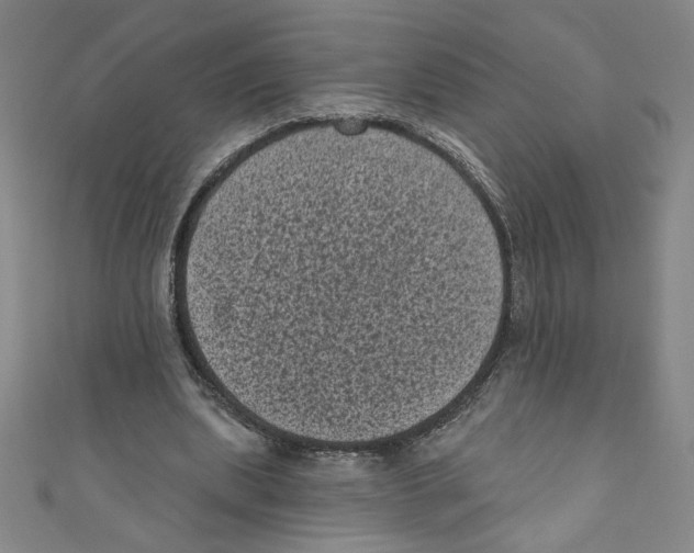 X0000110940439200907171611