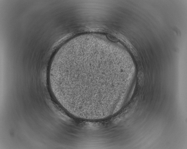 X0000110940442200907171611