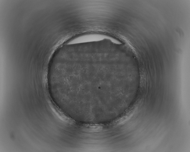 X0000110940443200907171611