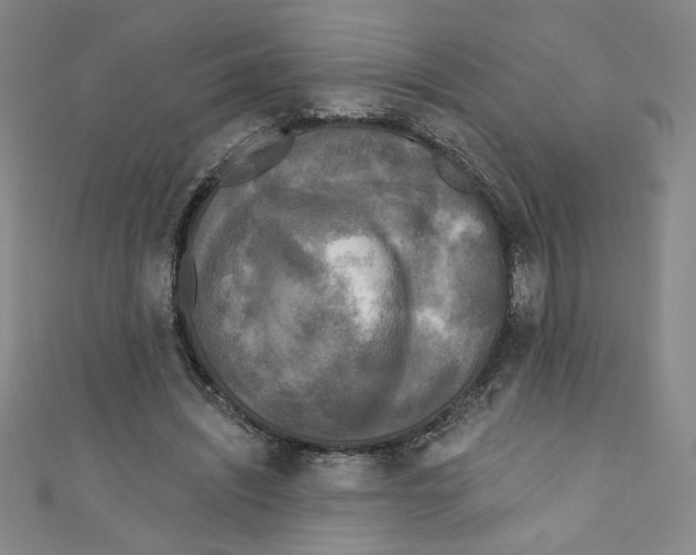 X0000110940444200907171611