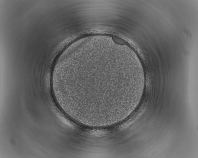 X0000110940445200907171611