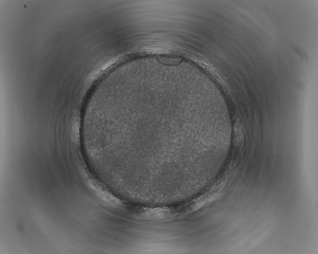 X0000110940446200907171611