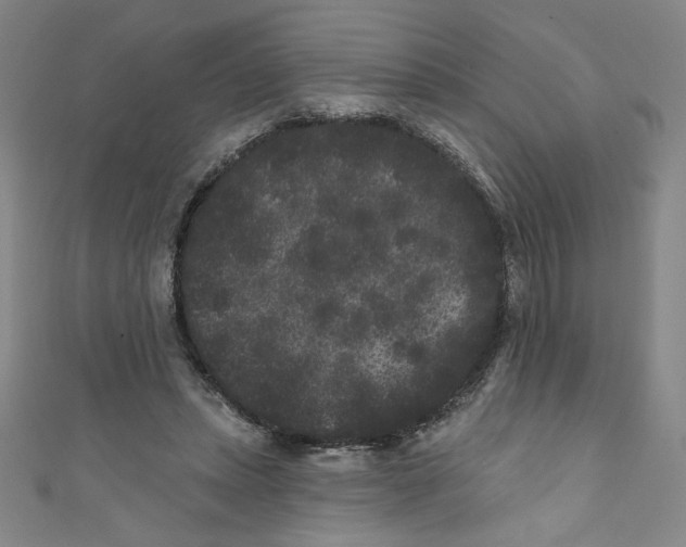 X0000110940447200907171611